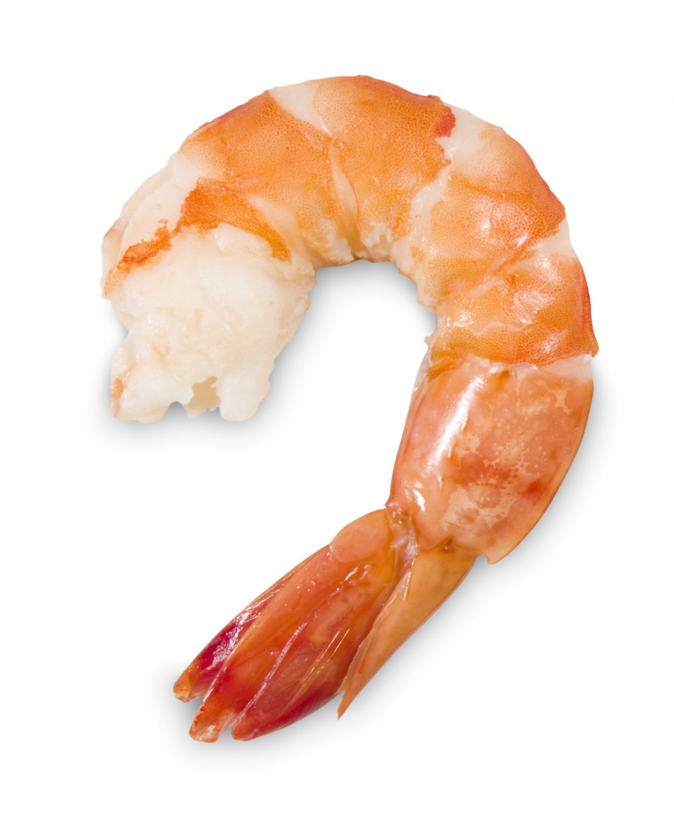 shrimpy
