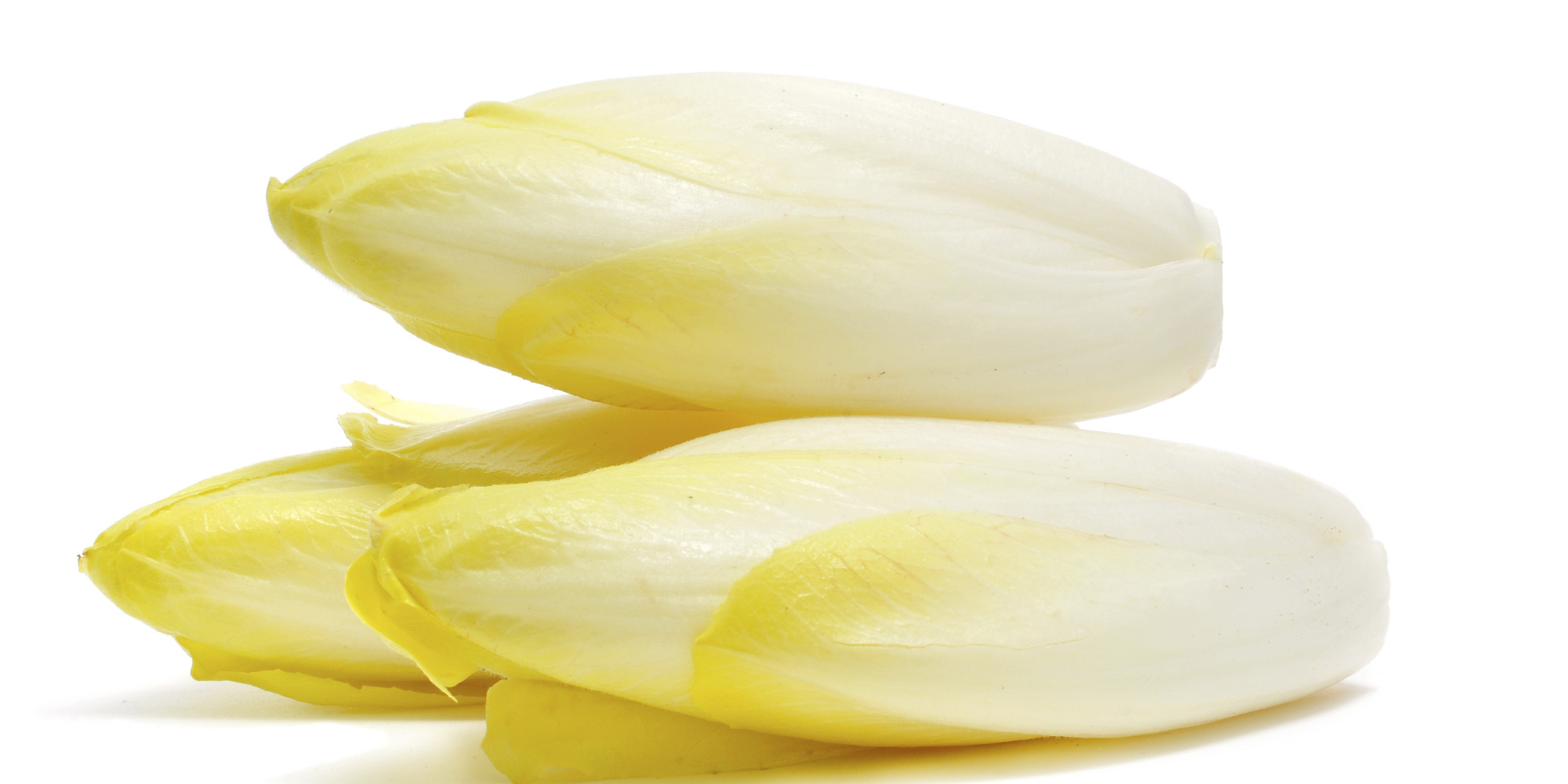 o-ENDIVE-facebook
