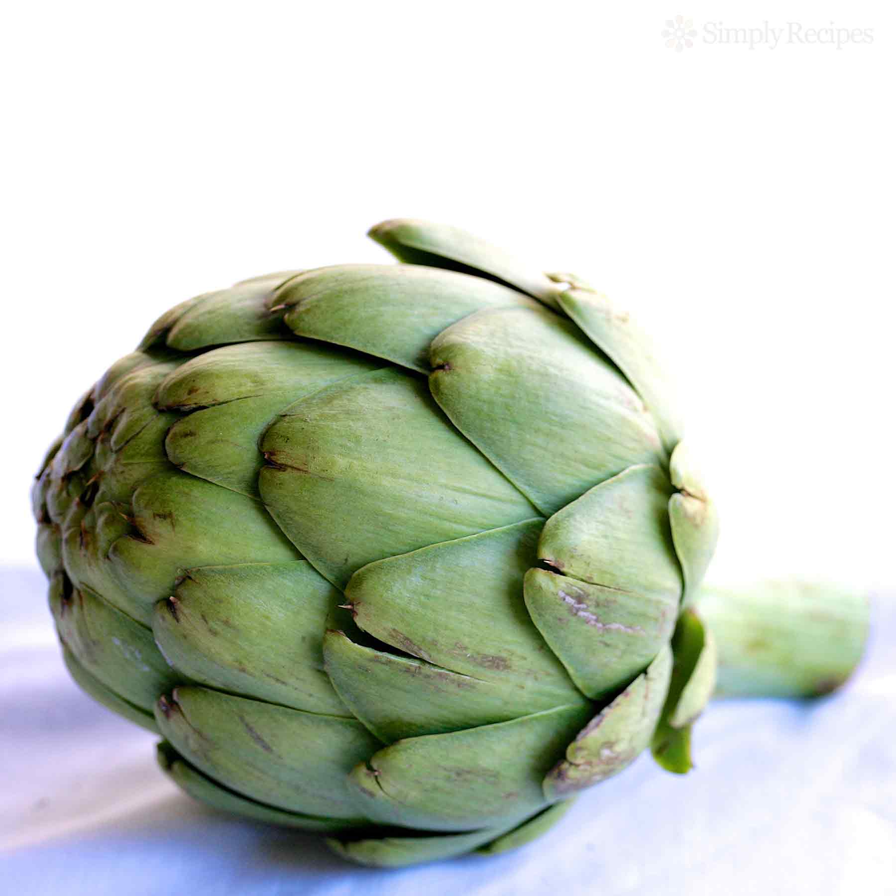 artichoke-square-a2-1800