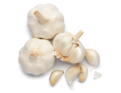 garlic