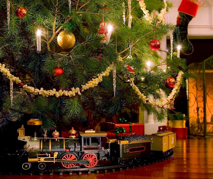 toy-train-under-the-christmas-tree-diane-diederich