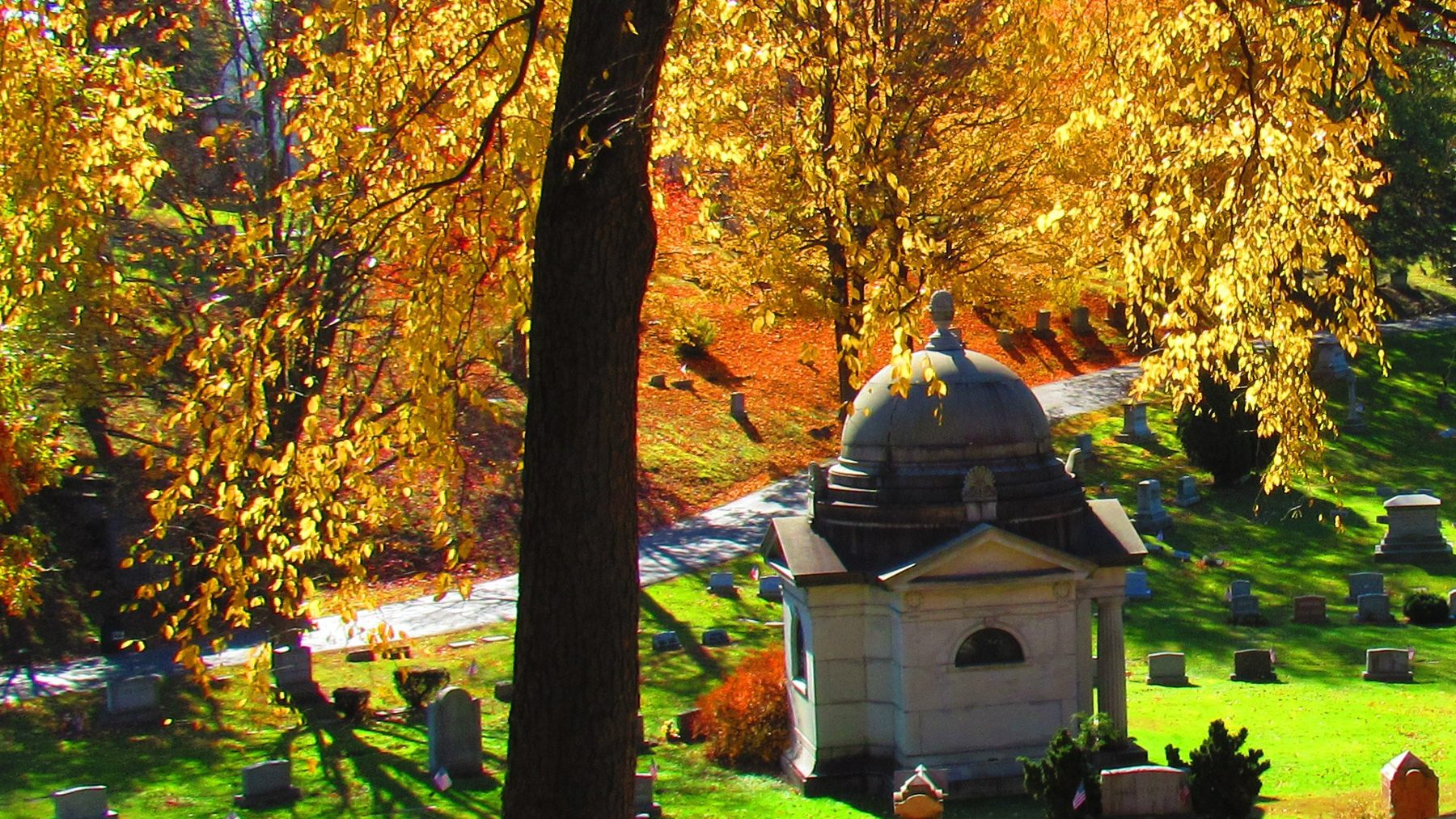 cemetery tour2